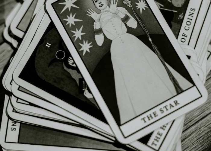 Ridhi Bahl - delhi astrologer, vastu services in india and abroad