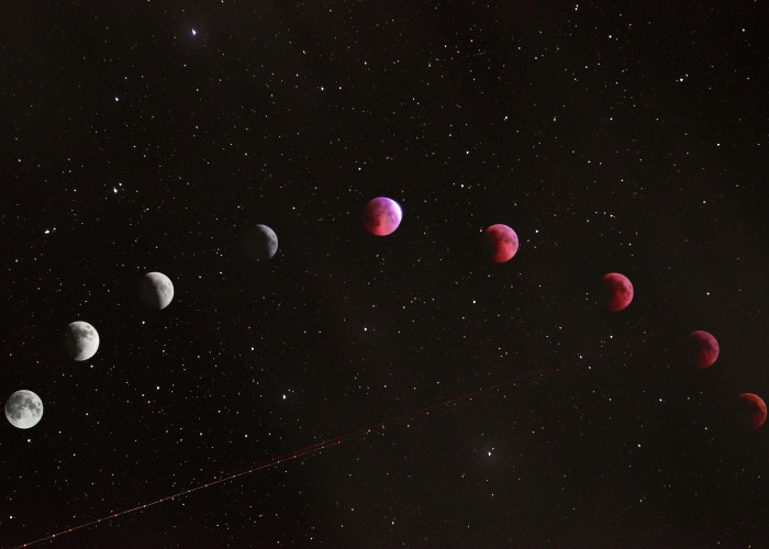 BUSINESS ASTROLOGY IN USA