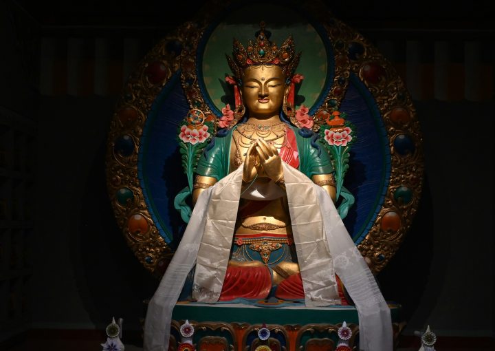 career prospects and Success